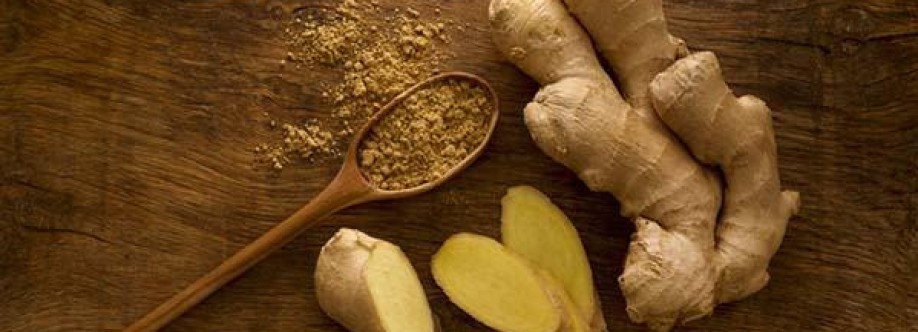GingerShot Cover Image